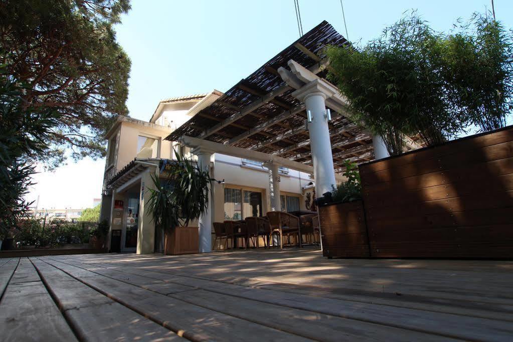 L'oasis